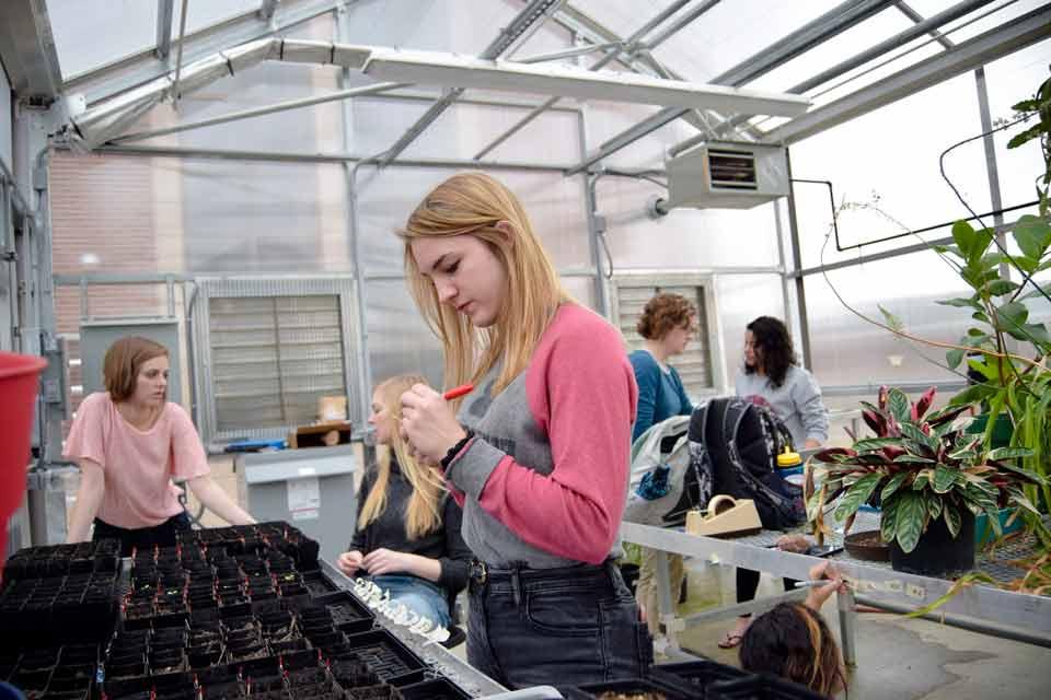 学生s working in a greenhouse